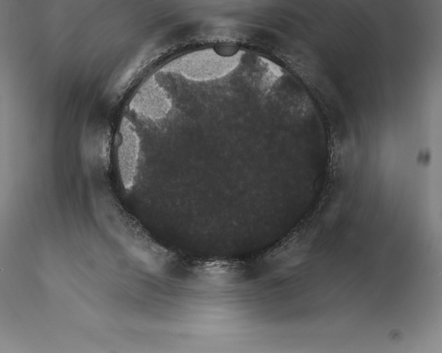 X0000115270064200912111212