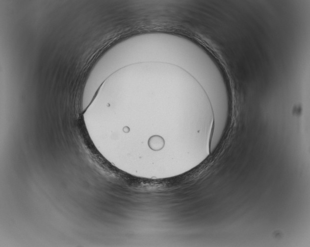 X0000115270065200912111212