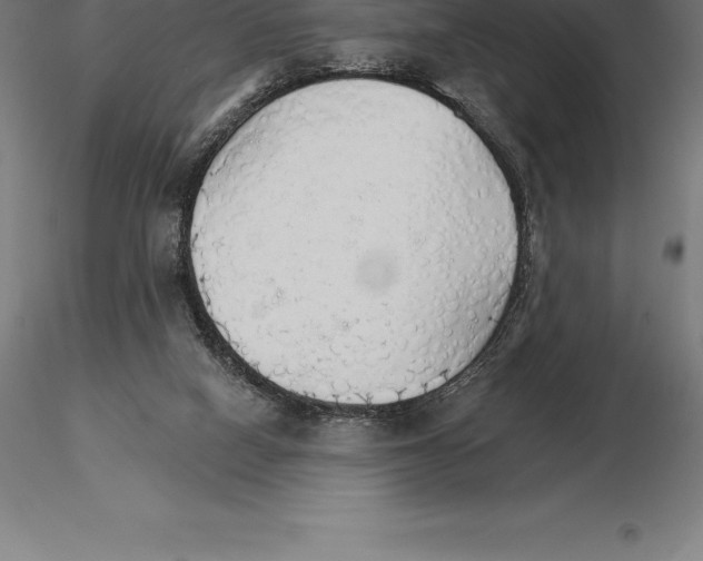 X0000115270066200912111212