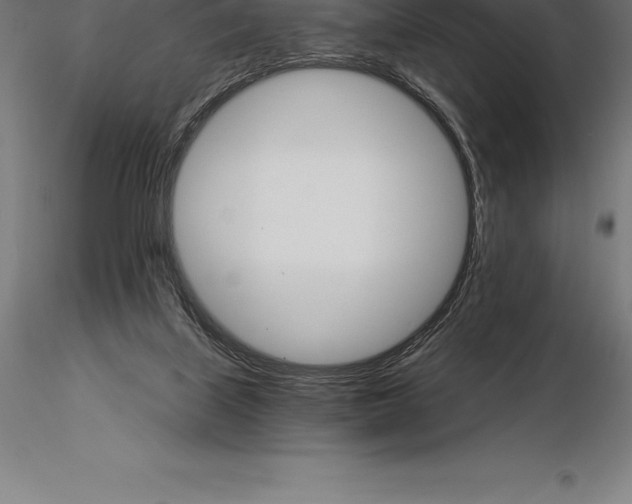 X0000115270067200912111212