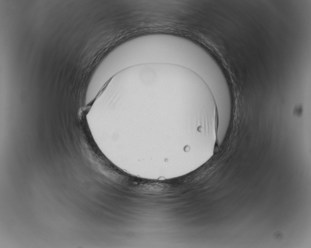 X0000115270069200912111212