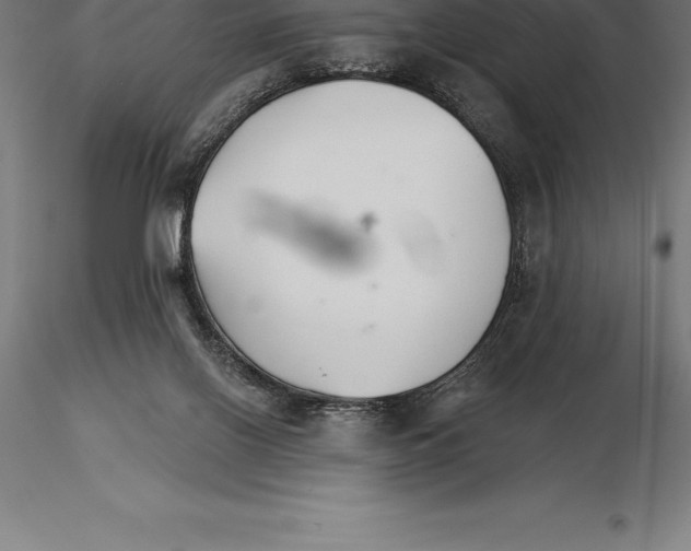 X0000115270070200912111212