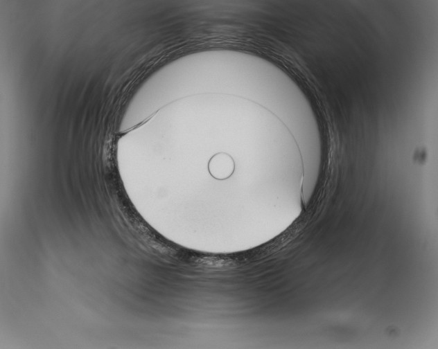 X0000115270073200912111212