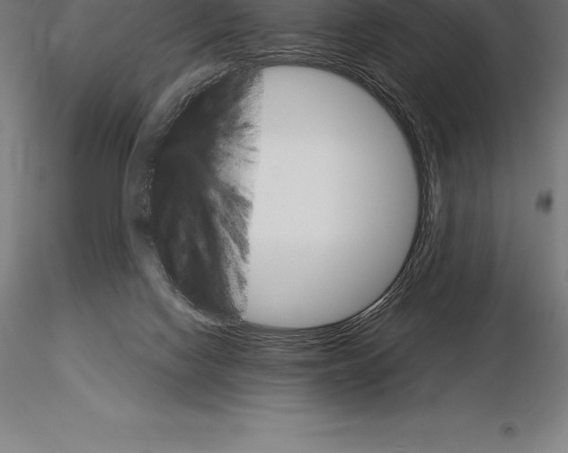 X0000115270074200912111212