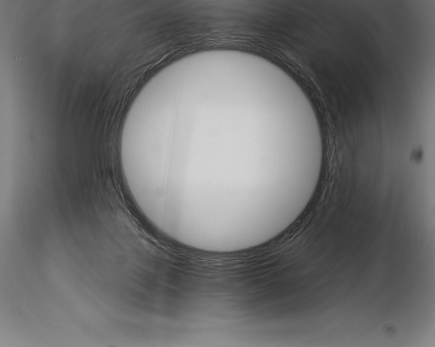 X0000115270075200912111212