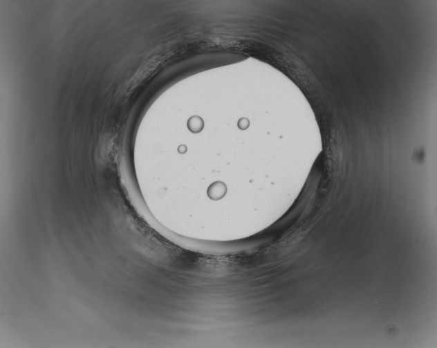 X0000115270079200912111212