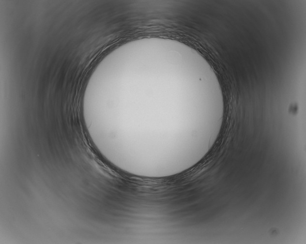 X0000115270081200912111212