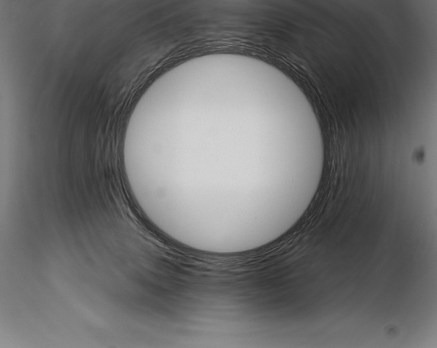 X0000115270083200912111212