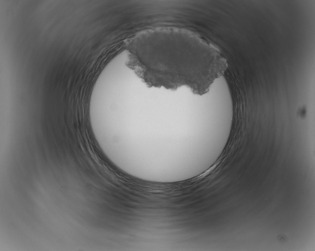 X0000115270086200912111212