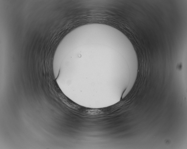 X0000115270087200912111212