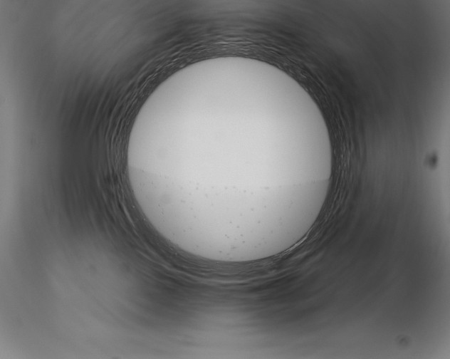 X0000115270090200912111212