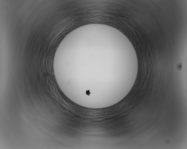 X0000115270091200912111212