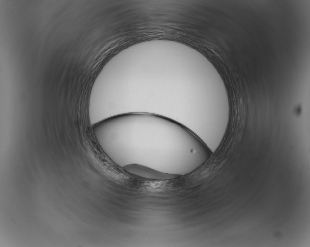 X0000115270092200912111212