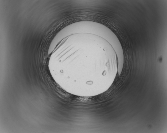 X0000115270093200912111213