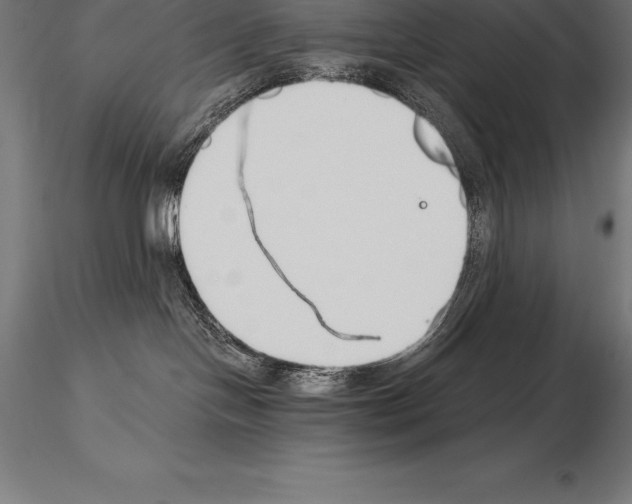 X0000115270094200912111213