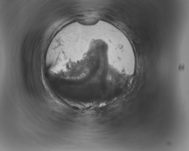 X0000115270097200912111212