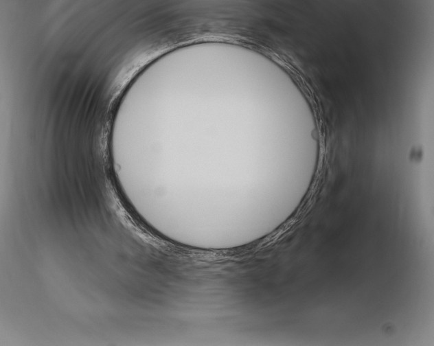 X0000115270098200912111212