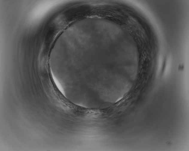 X0000115270099200912111212