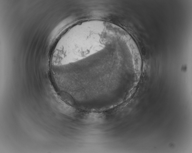 X0000115270101200912111212