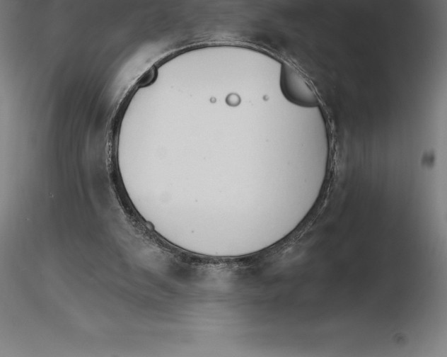 X0000115270103200912111212