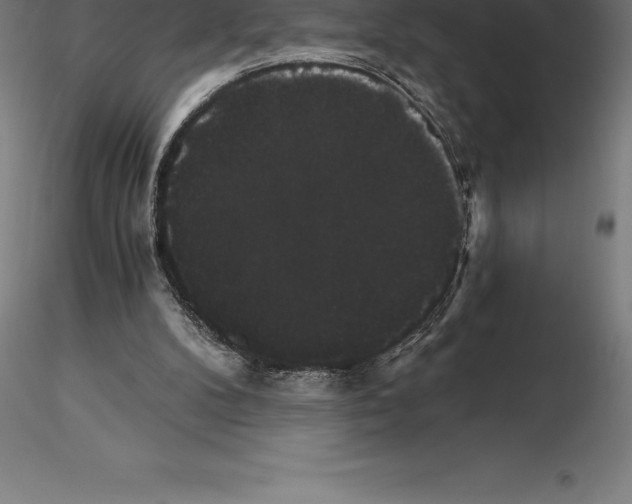 X0000115270104200912111212