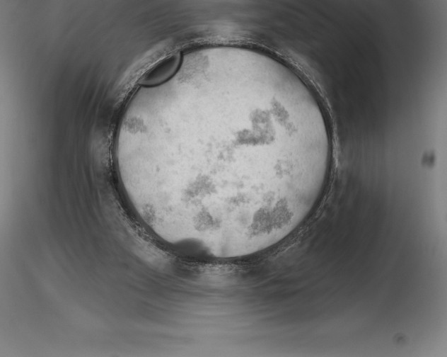 X0000115270105200912111212