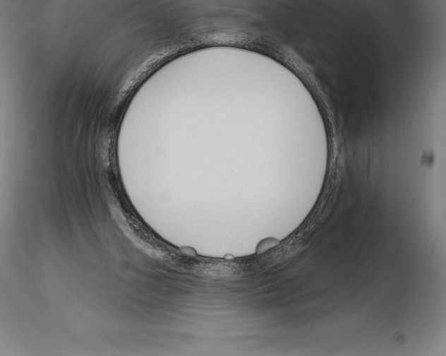 X0000115270106200912111212