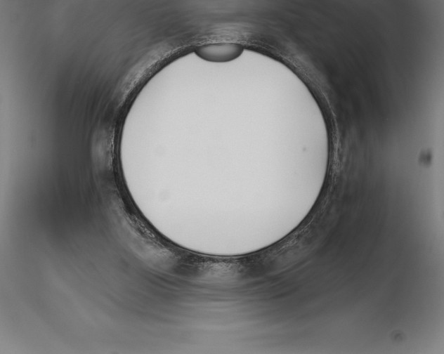 X0000115270107200912111212