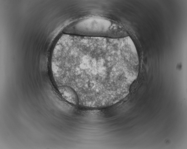 X0000115270108200912111212