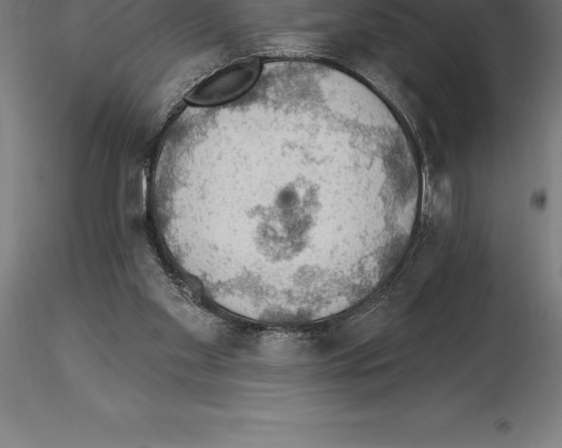 X0000115270109200912111212