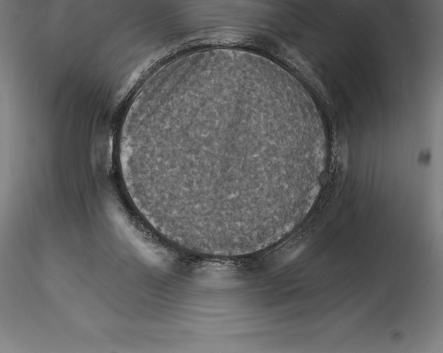 X0000115270110200912111212