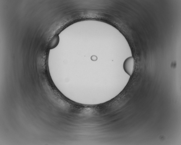 X0000115270111200912111212