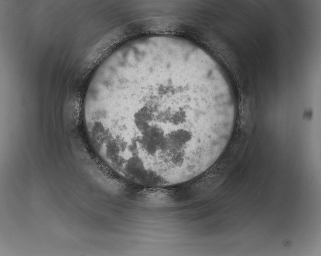 X0000115270113200912111212