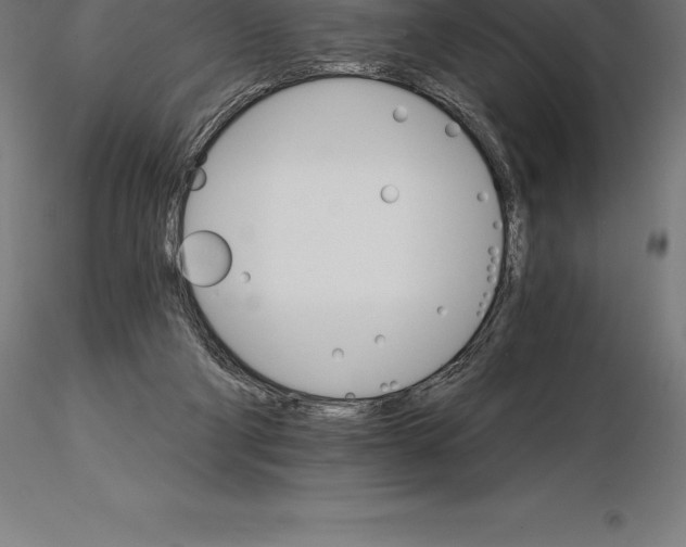 X0000115270114200912111212