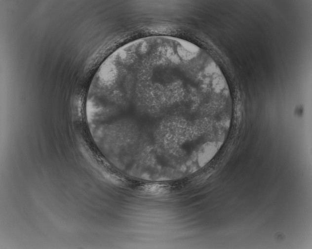 X0000115270117200912111212