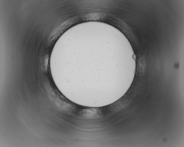 X0000115270118200912111212