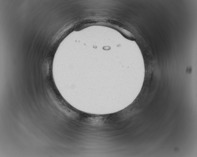 X0000115270120200912111212