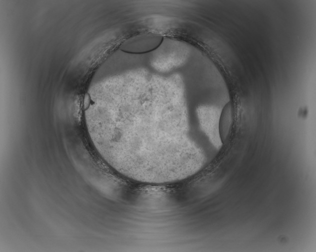 X0000115270121200912111212