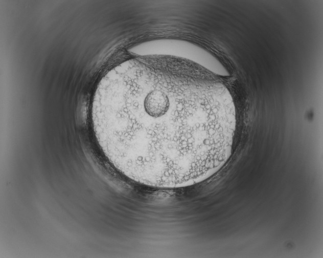 X0000115270124200912111212