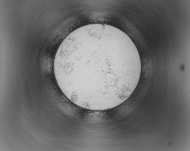 X0000115270125200912111211