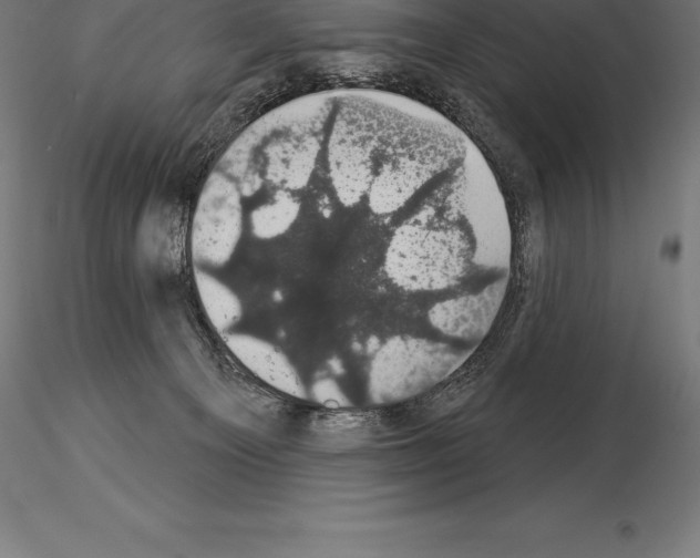 X0000115270129200912111211