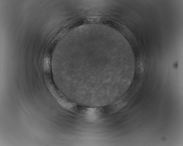 X0000115270130200912111211