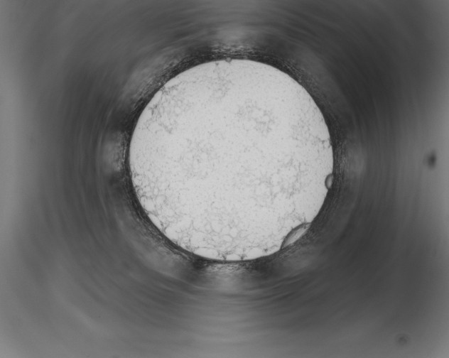 X0000115270133200912111211