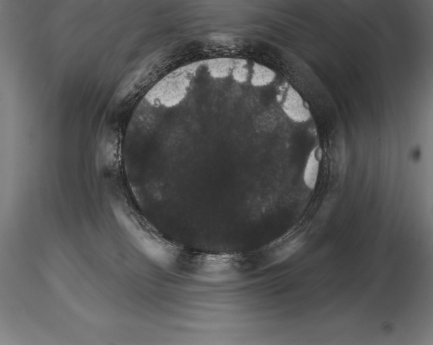 X0000115270134200912111211