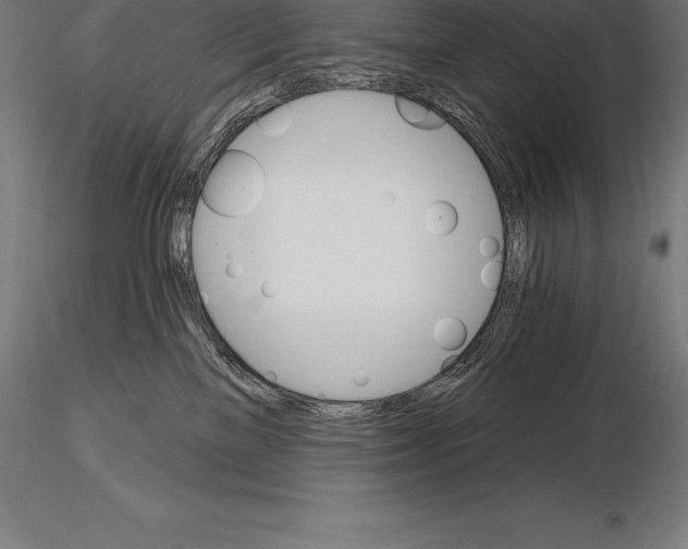 X0000115270137200912111211