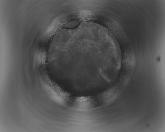 X0000115270139200912111211