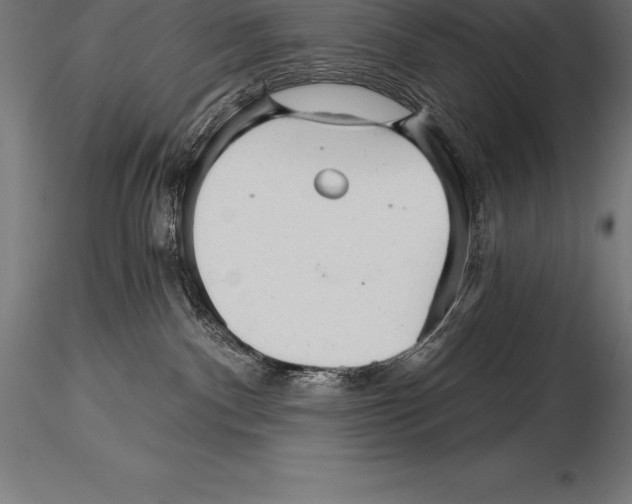 X0000115270140200912111211