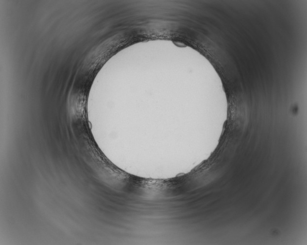 X0000115270141200912111211