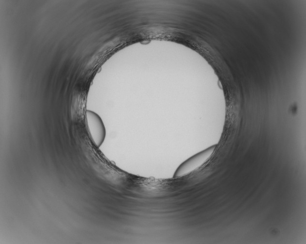 X0000115270142200912111211