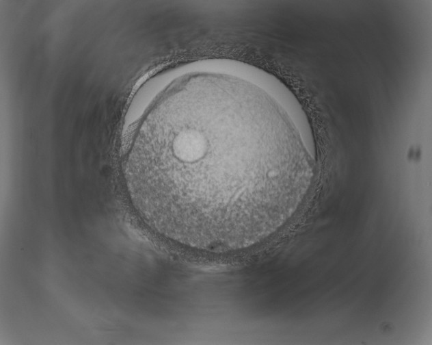 X0000115270144200912111211